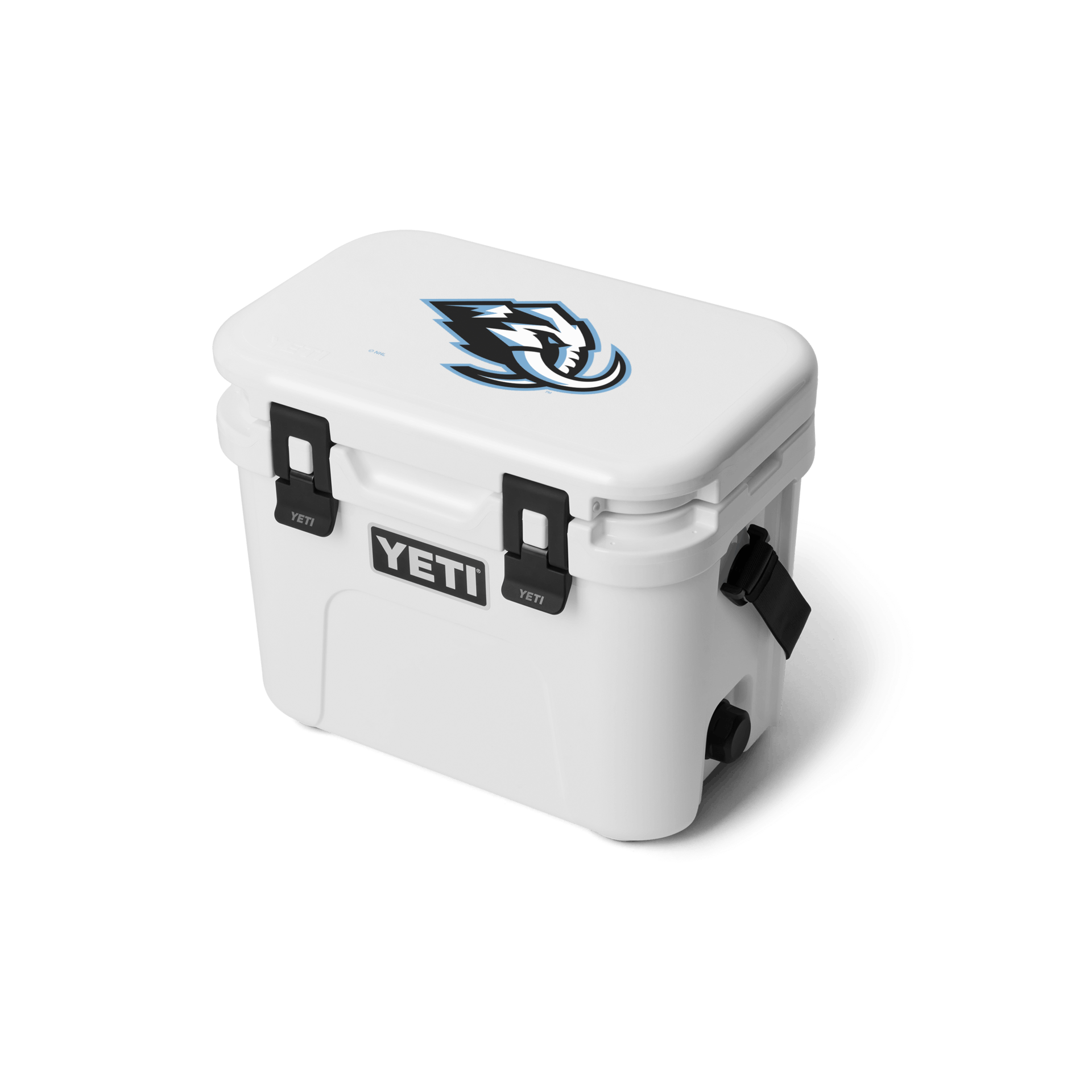 ROADIE® 15 HARD COOLER